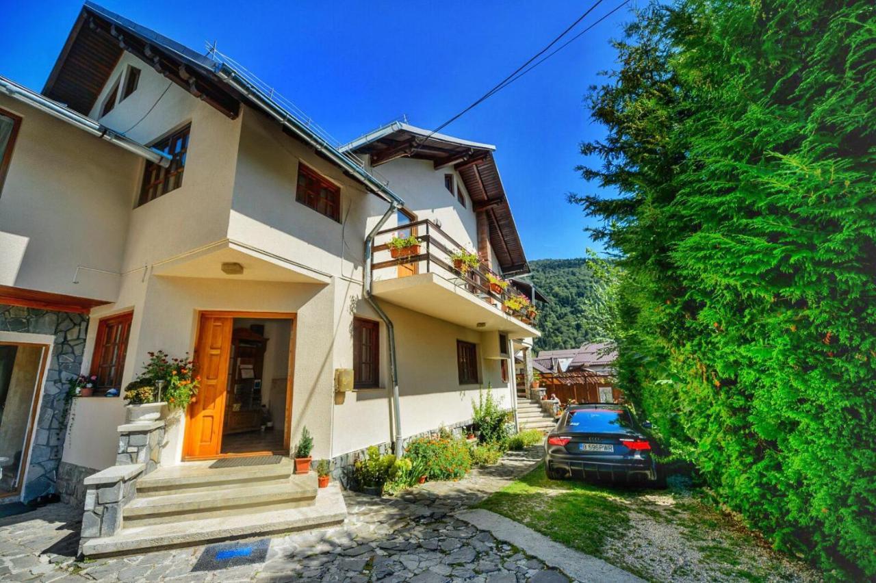 Amandra Chalet Синая Екстериор снимка