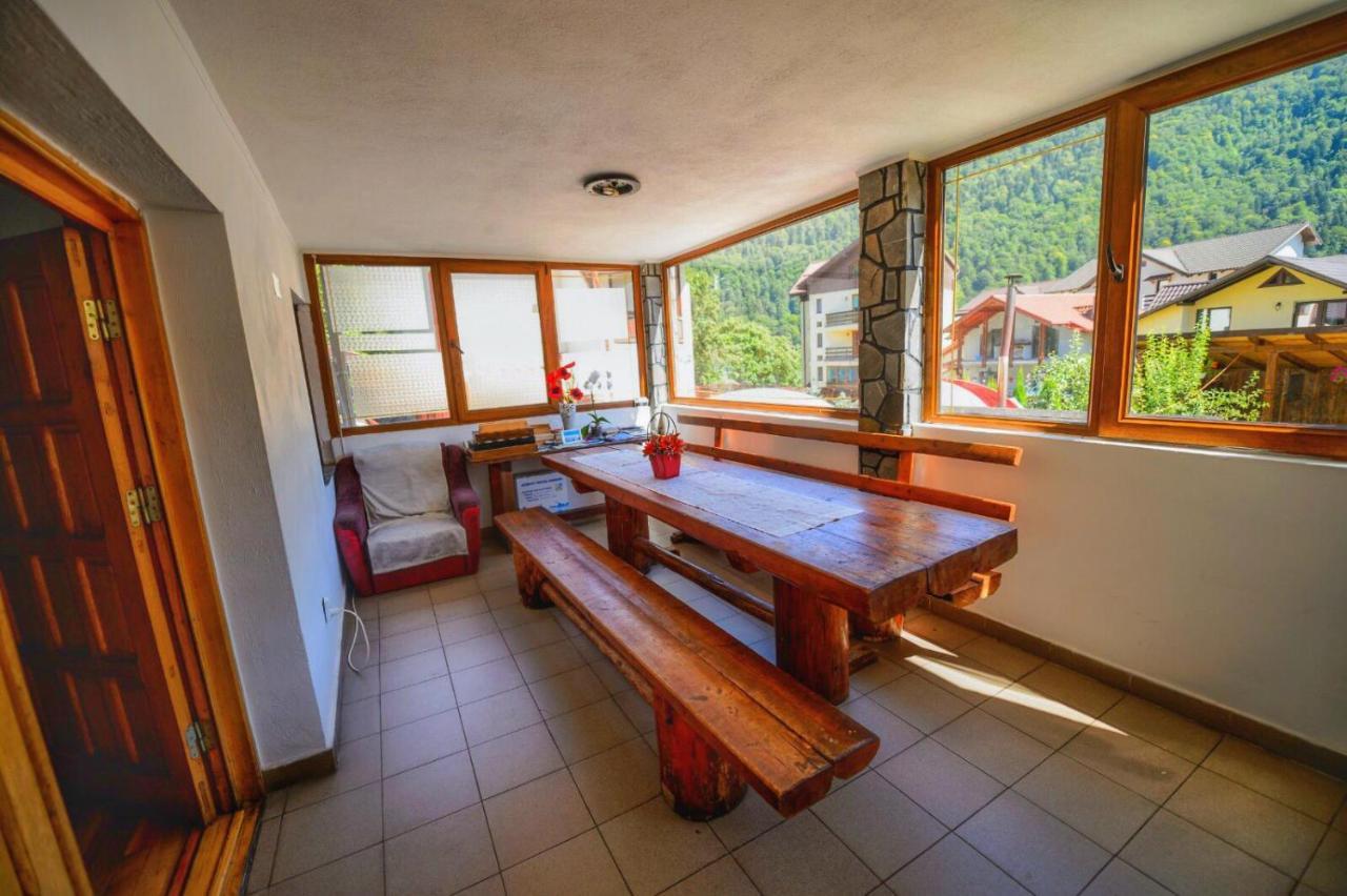 Amandra Chalet Синая Екстериор снимка
