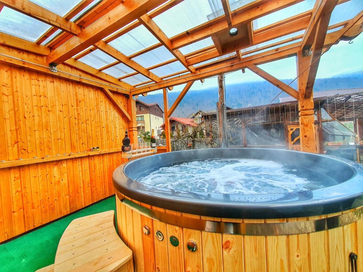 Amandra Chalet Синая Екстериор снимка