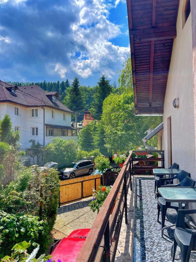 Amandra Chalet Синая Екстериор снимка