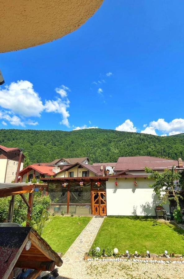 Amandra Chalet Синая Екстериор снимка