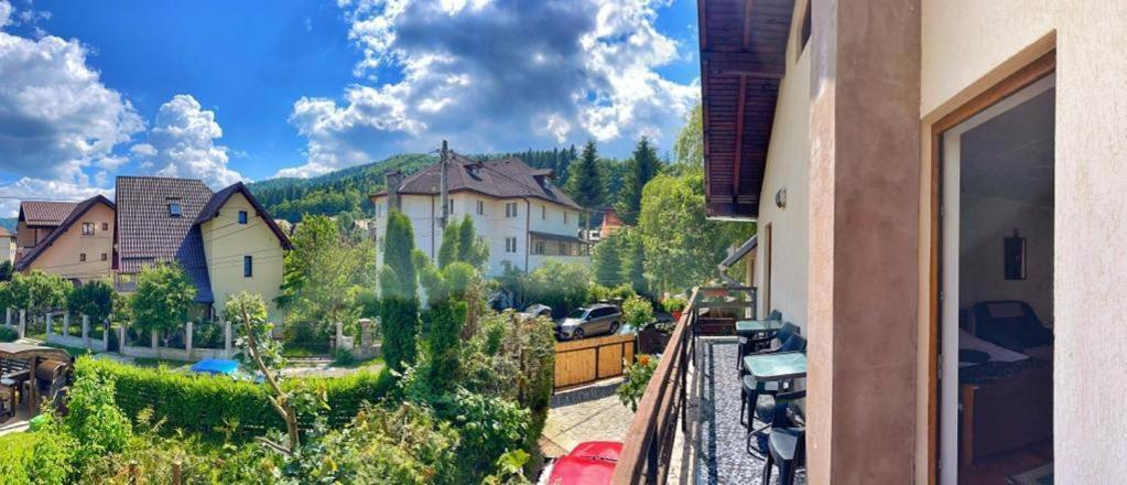 Amandra Chalet Синая Екстериор снимка