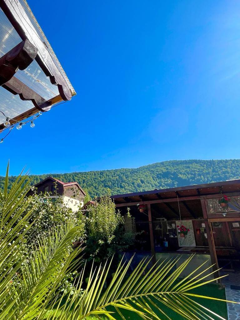 Amandra Chalet Синая Екстериор снимка