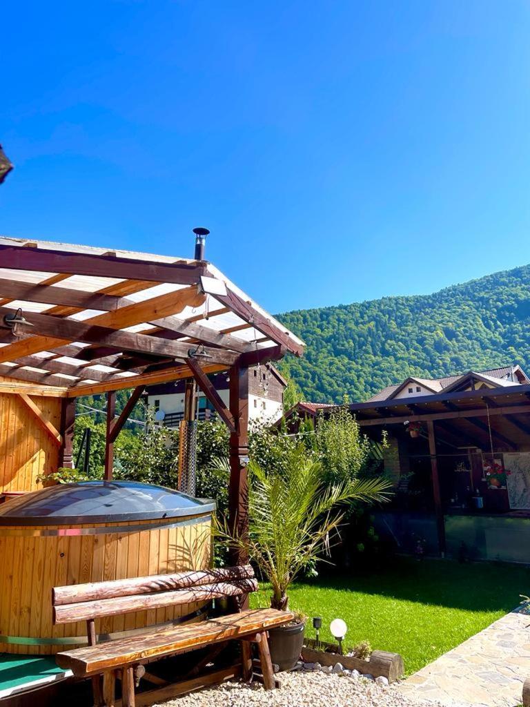 Amandra Chalet Синая Екстериор снимка